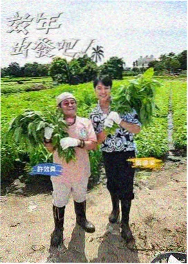脱口秀和TA的朋友们封面